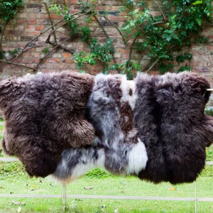 British Sheepskin Rugs