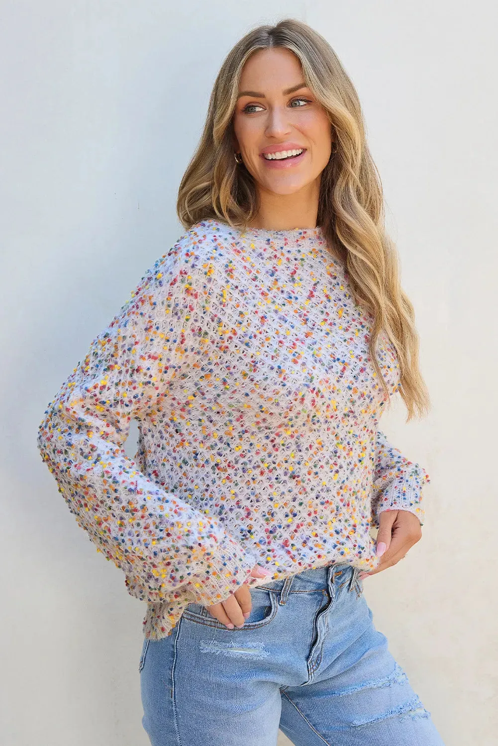 Confetti Round Neck Long Sleeve Sweater